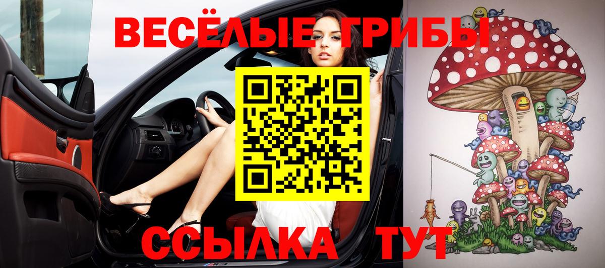 Псилоцибиновые грибы Psilocybe Сертолово